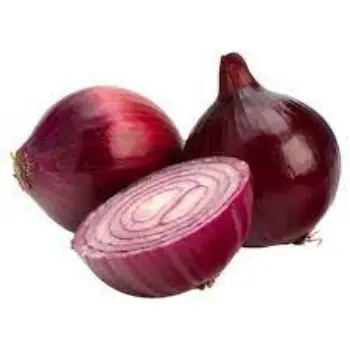 onion01-8383447-18741.webp