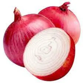 Natural Frozen Onion onion02-1188052-44740.webp
