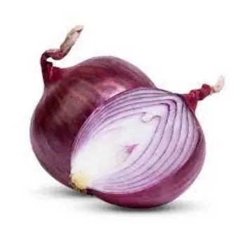 onion03-9075726-21509.webp