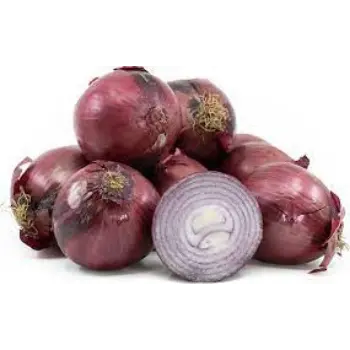 onion04-4525326-5764.webp