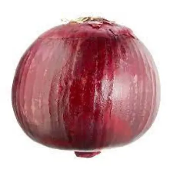 onion05-7466572-33591.webp