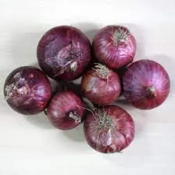 Organic Frozen Onion onion06-1692000-20366.webp
