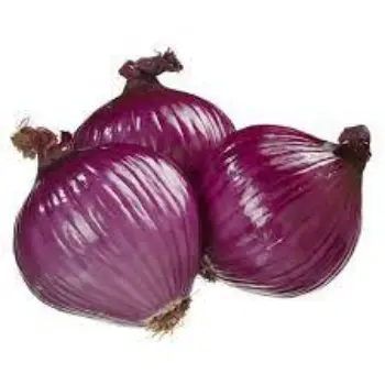 onion06-4629648-36352.webp