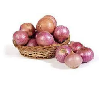 onion07-4432517-93639.webp