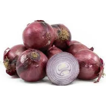 onion08-3768935-11131.webp