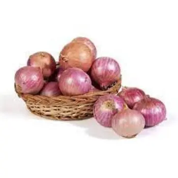 onion09-3458189-49781.webp