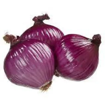 onion10-5832069-46568.webp