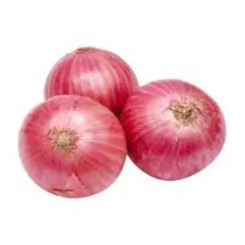 onion10-7399582-21543.webp