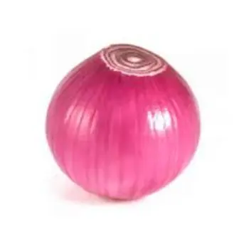 onion12-1220790-44731.webp