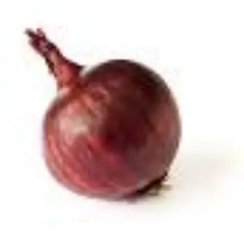 onion13-280893-11895.webp