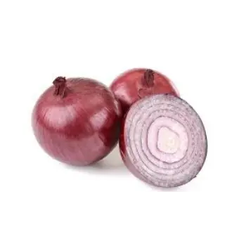 onion15-4586299-9503.webp