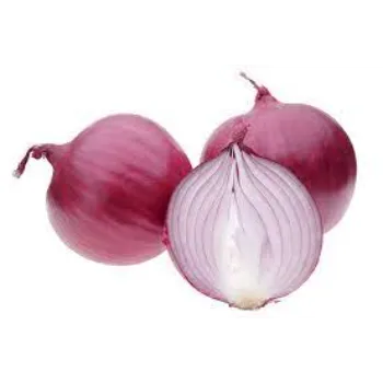 onion2-3919442-88307.webp