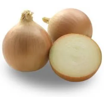 Organic Frozen Onion onion2-7371940-45876.webp