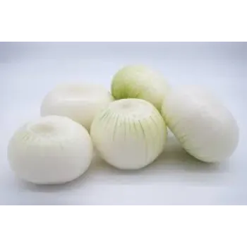 Fresh Frozen Onion onion3-6671914-75279.webp