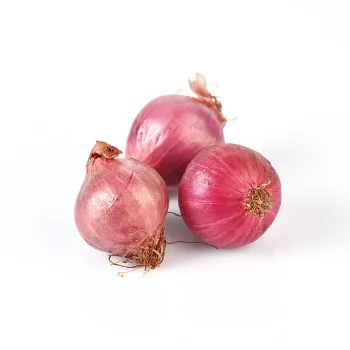 onions-08-1008026-58024.webp