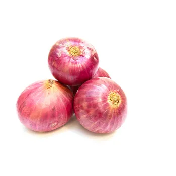 onions-09-2307084-42339.webp