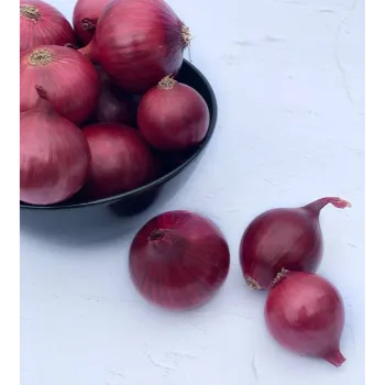 onions-19-2628435-78527.webp