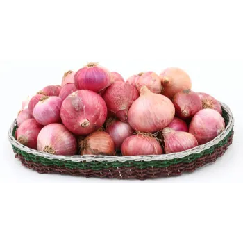 onions-22-465852-94269.webp
