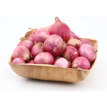 onions-23-4357276-56295.webp