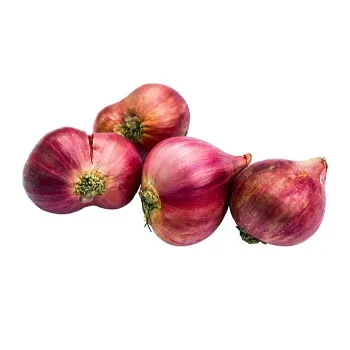 onions-24-7450665-84127.webp