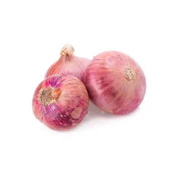 onions-25-4893963-90480.webp