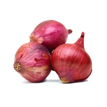 onions-26-6499067-76189.webp