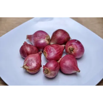 onions-30-9362780-12353.webp