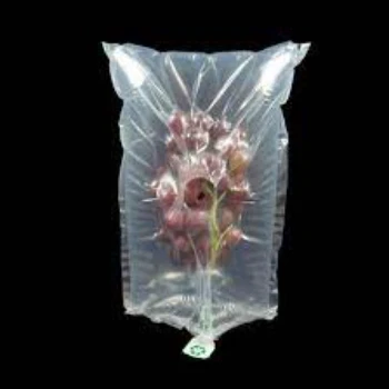 packing-air-bag2-6898804-88699.webp