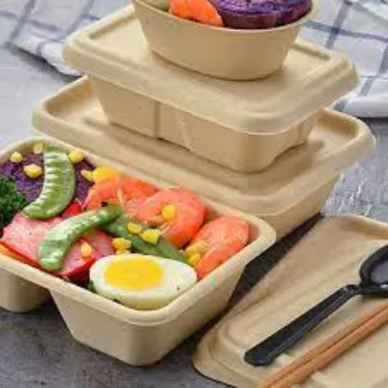 Fine Finishing Paper Food Container paper-food-container19-6062373-77498.webp