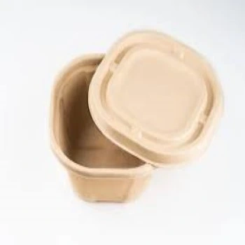 Standard Paper Food Container paper-food-container2-4117059-22478.webp