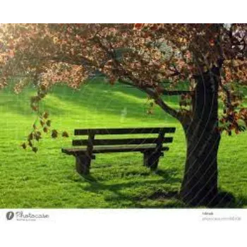 Park Bench park-bench-2-7418126-55307.webp