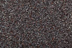 Poppy Seeds poppy.jpg
