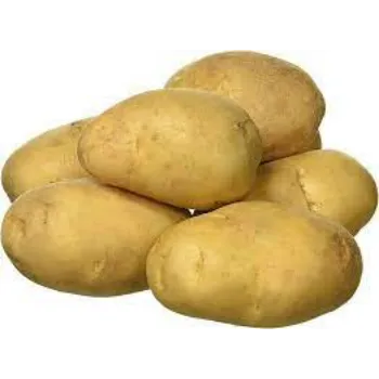 potatao01-5974293-52650.webp