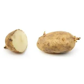 potatao07-6589864-12214.webp