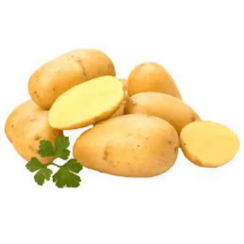 potatao09-9737318-94623.webp