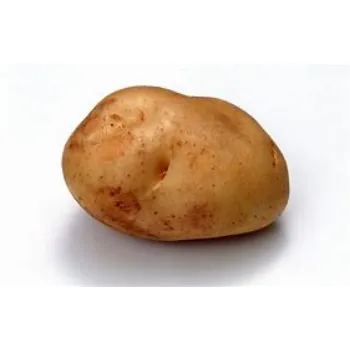 potato-02-7352785-11833.webp