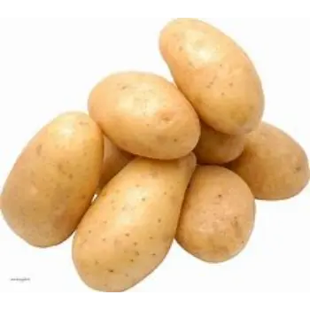 potato-04-9599059-19608.webp