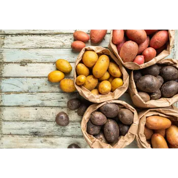 potato-06-5849766-26944.webp