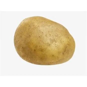 potato-08-1877119-48867.webp