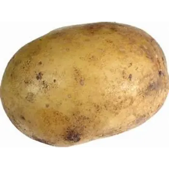 potato-08-5795654-25604.webp