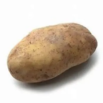 potato-10-2348809-72719.webp