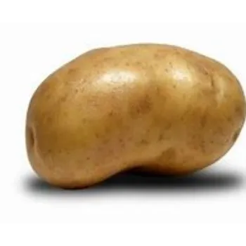 potato-14-7299146-26114.webp