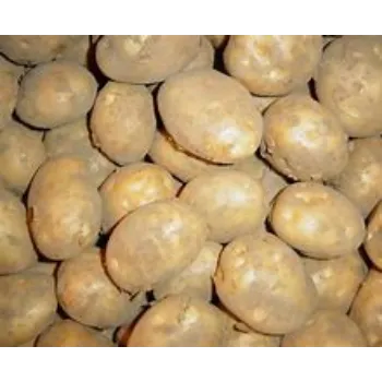 potato-16-6821775-43285.webp