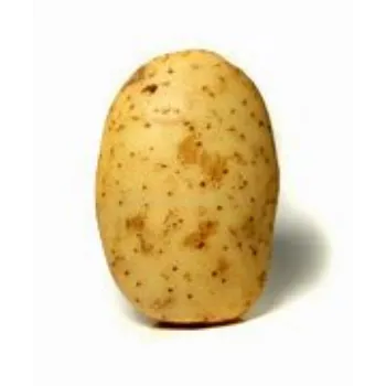 potato-18-307557-47801.webp