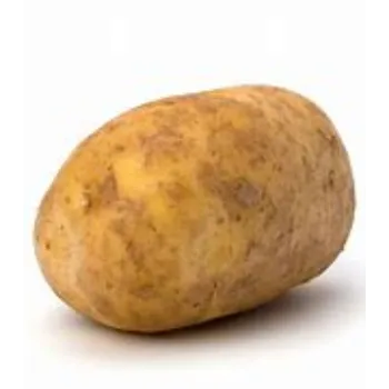 potato-19-4436122-44129.webp