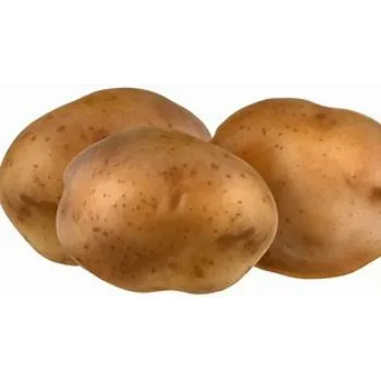 potato-20-5864668-56483.webp