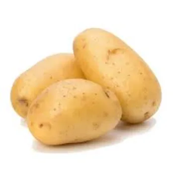 potato-881260-73800.webp