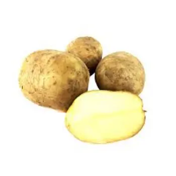 potato01-9820319-73720.webp