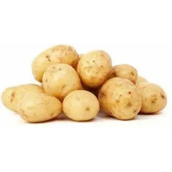 potato08-5906351-85063.webp
