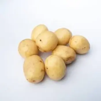 potato09-6809313-63669.webp